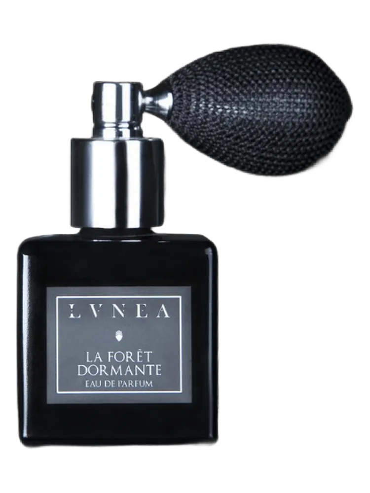 La Forêt Dormante by Lvnea