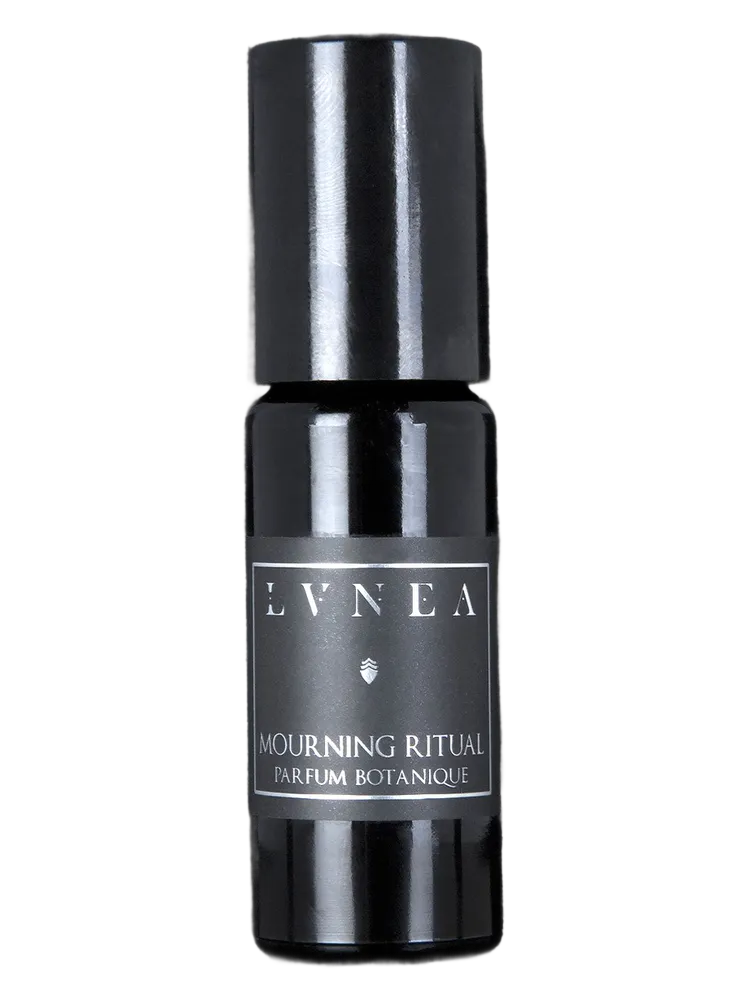 Morning Ritual by Lvnea