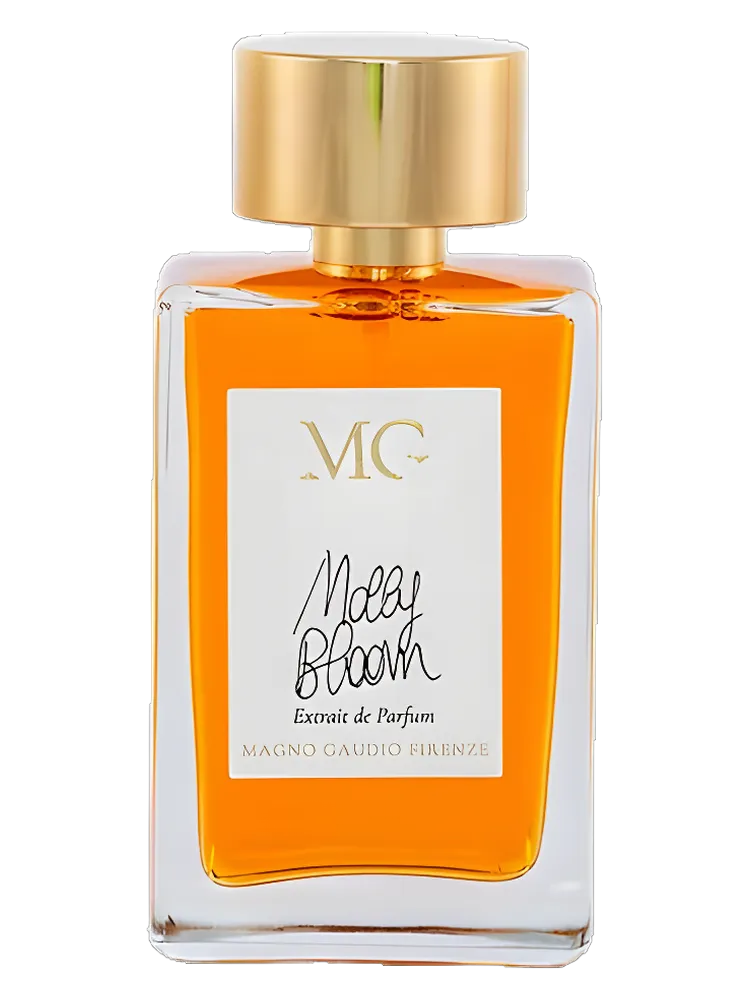 Molly Bloom by Magno Gaudio Firenze