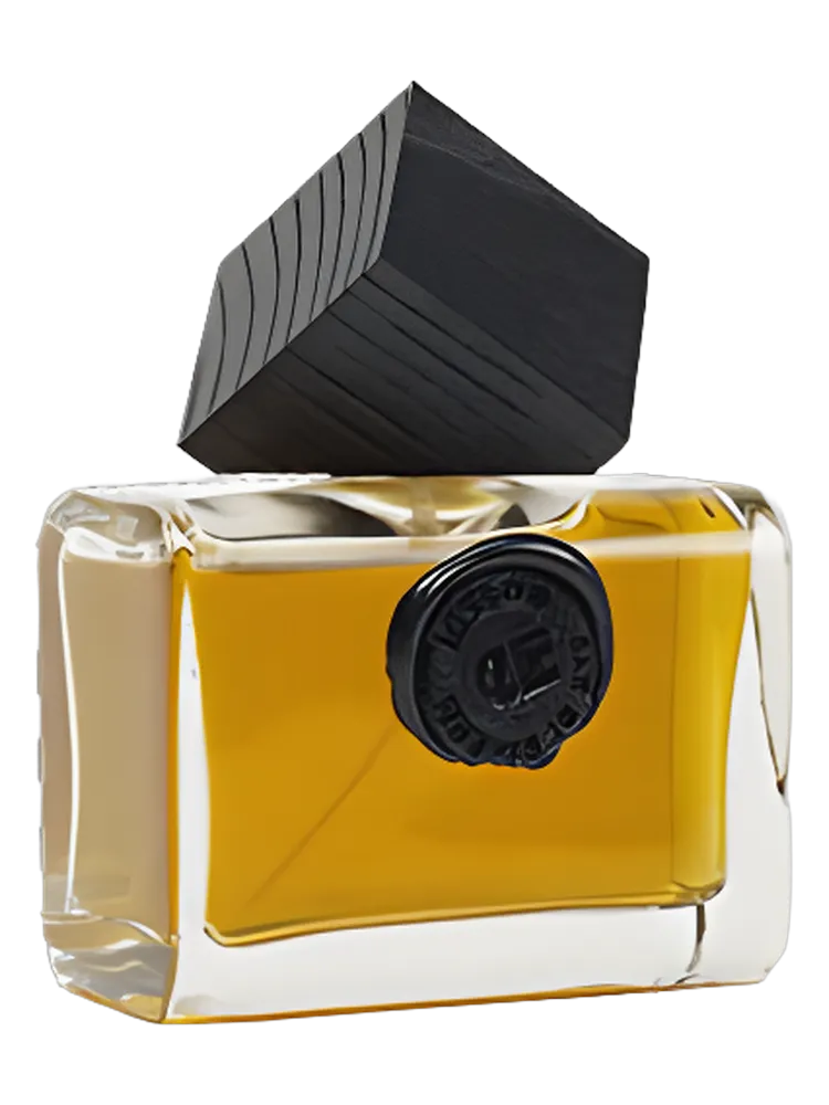 Cuir Erindil by Maison Incens