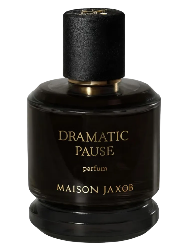 Dramatic Pause by Maison Jaxob