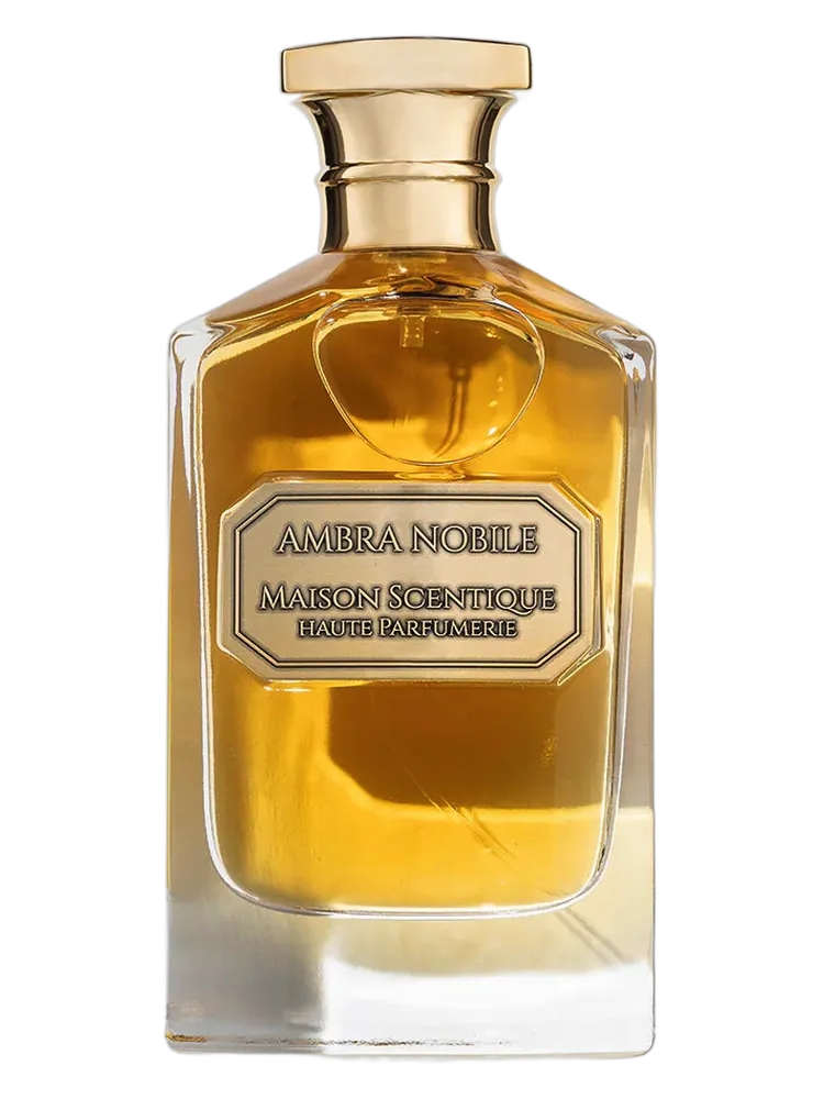 Ambra Nobile by Maison Scentique