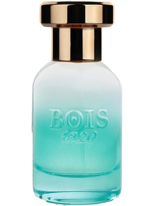 Marasma by Bois 1920