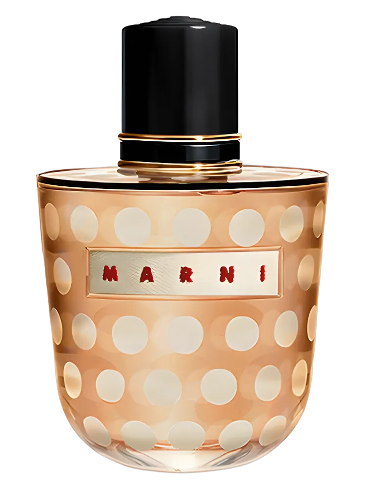 Marni Spice by Marni