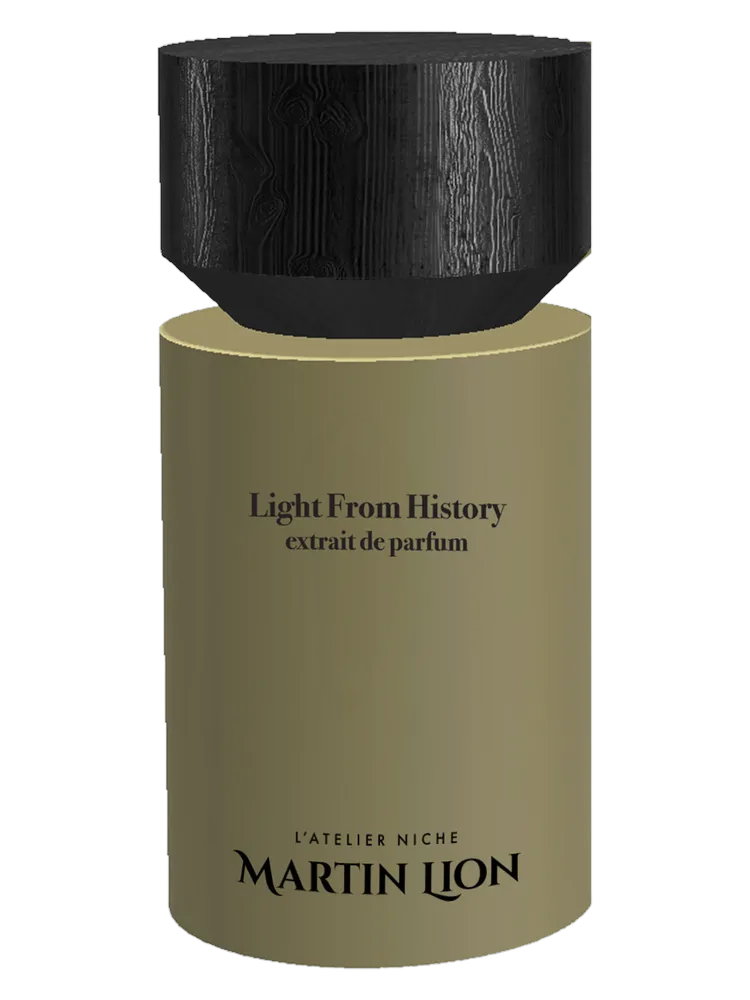 Light from History by Martin Lion