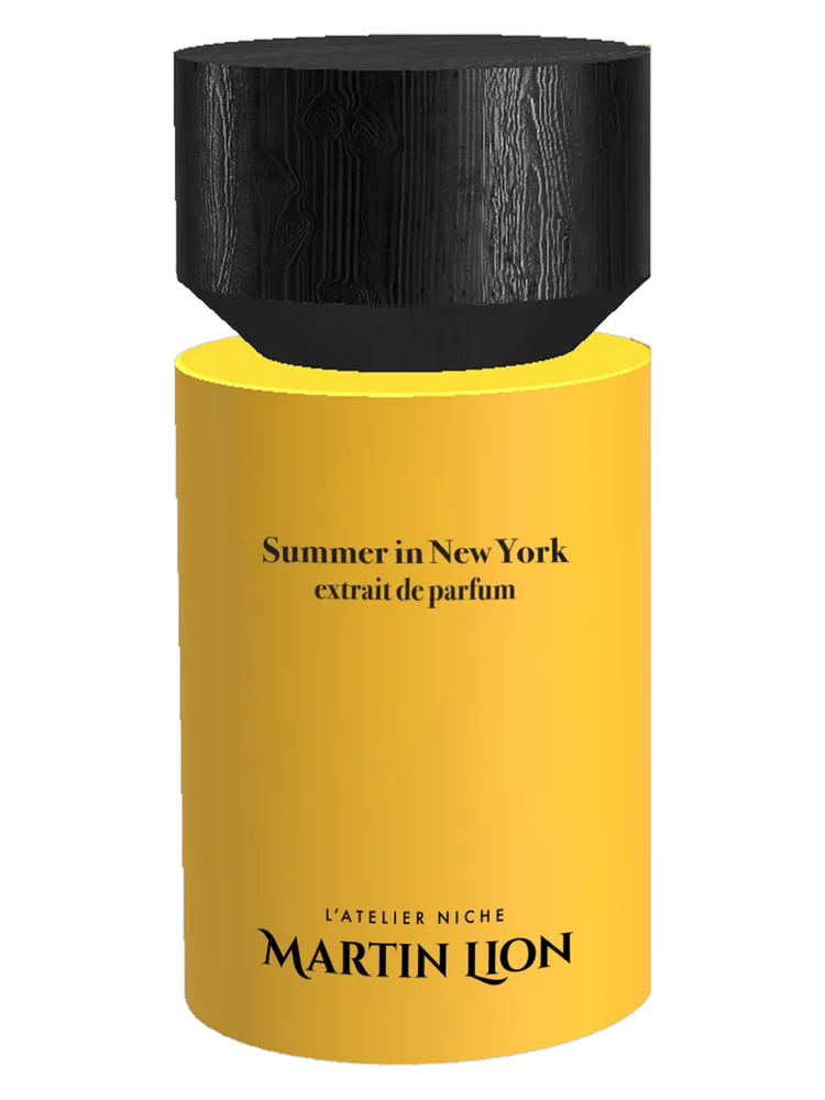 Summer in New York by Martin Lion
