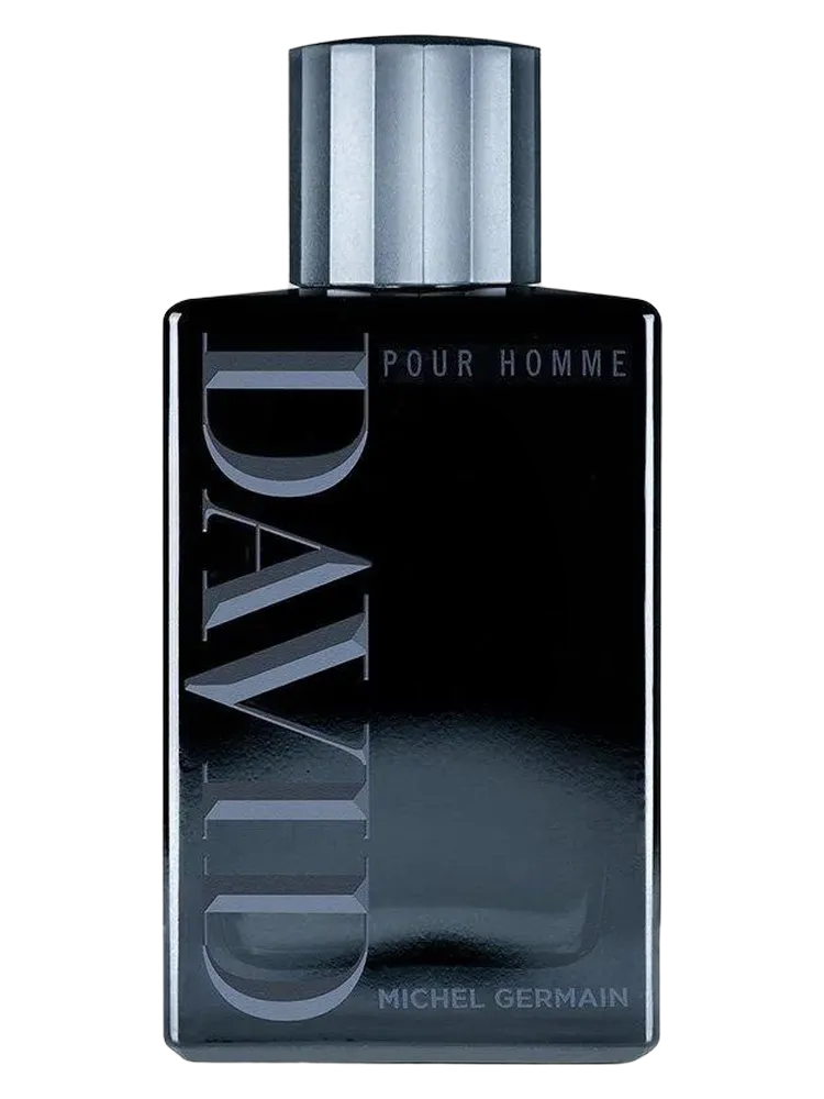 David by Michel Germain