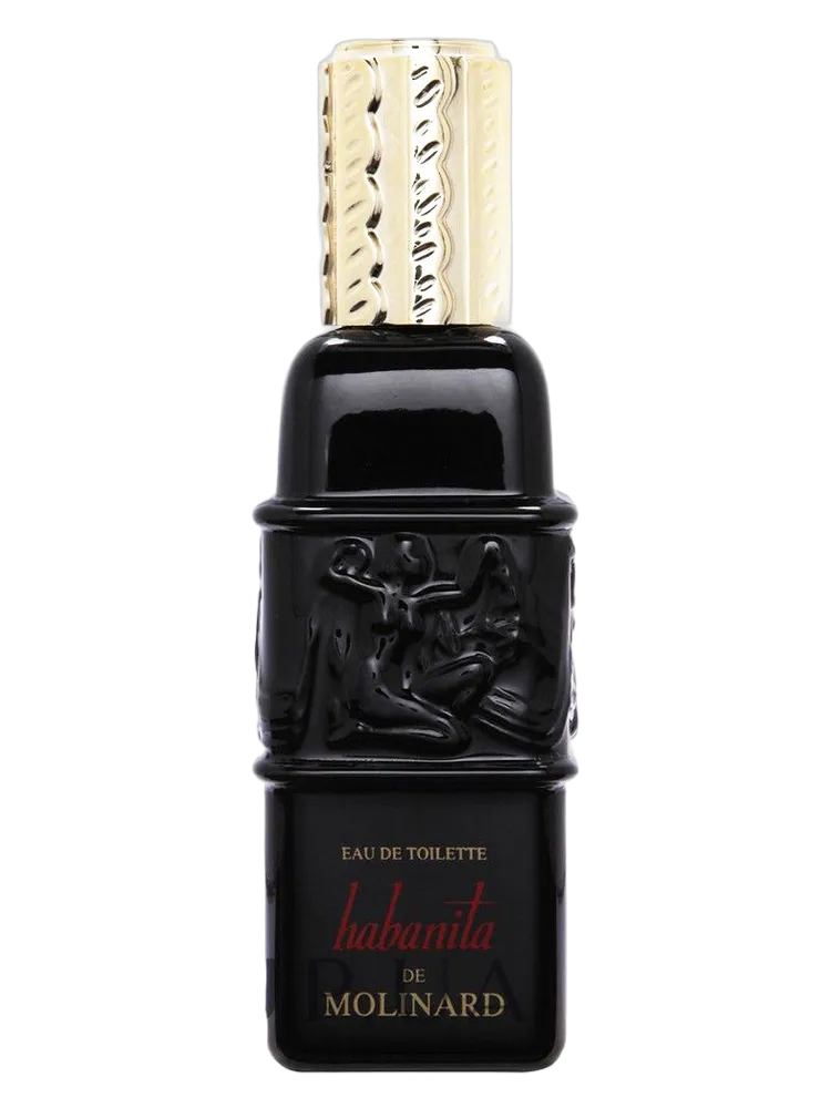 Habanita by Molinard