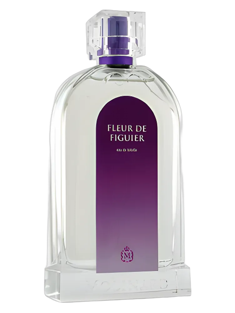 Les Fleurs Fleur De Figuer by Molinard