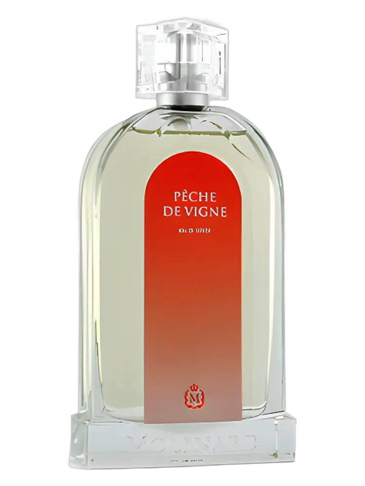 Pêche De Vigne by Molinard