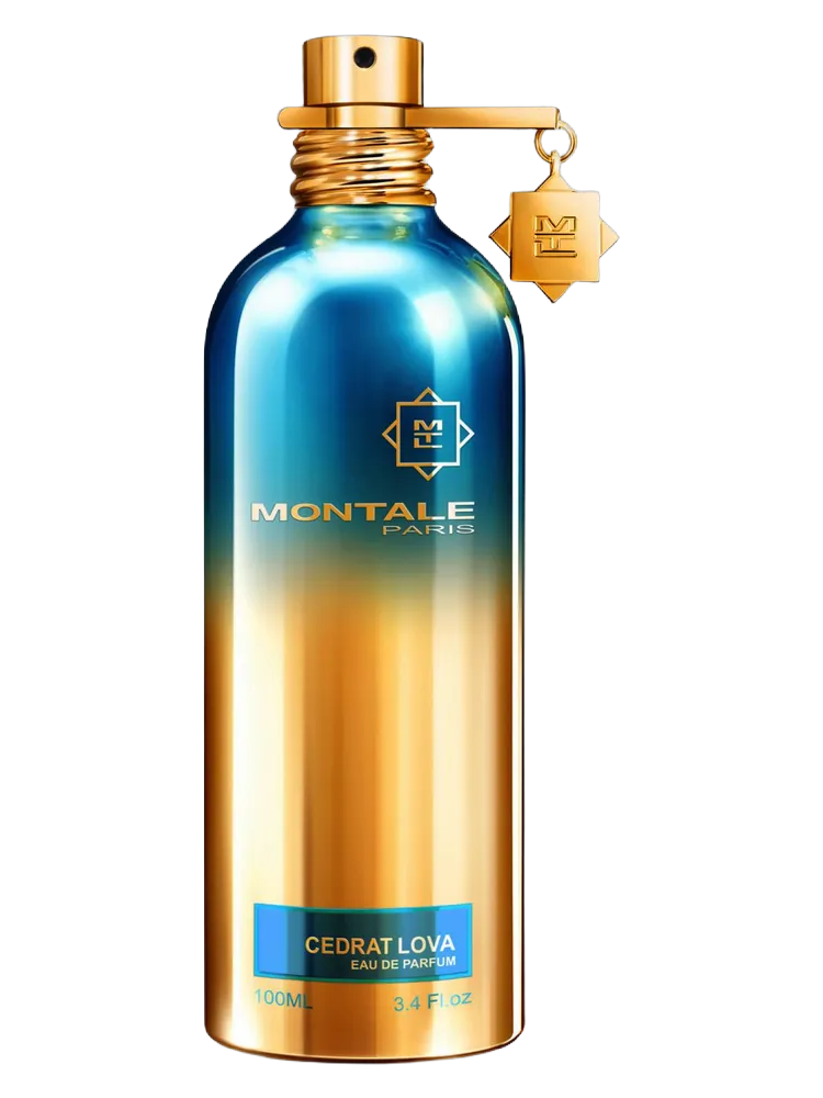 Cedrat Lova by Montale
