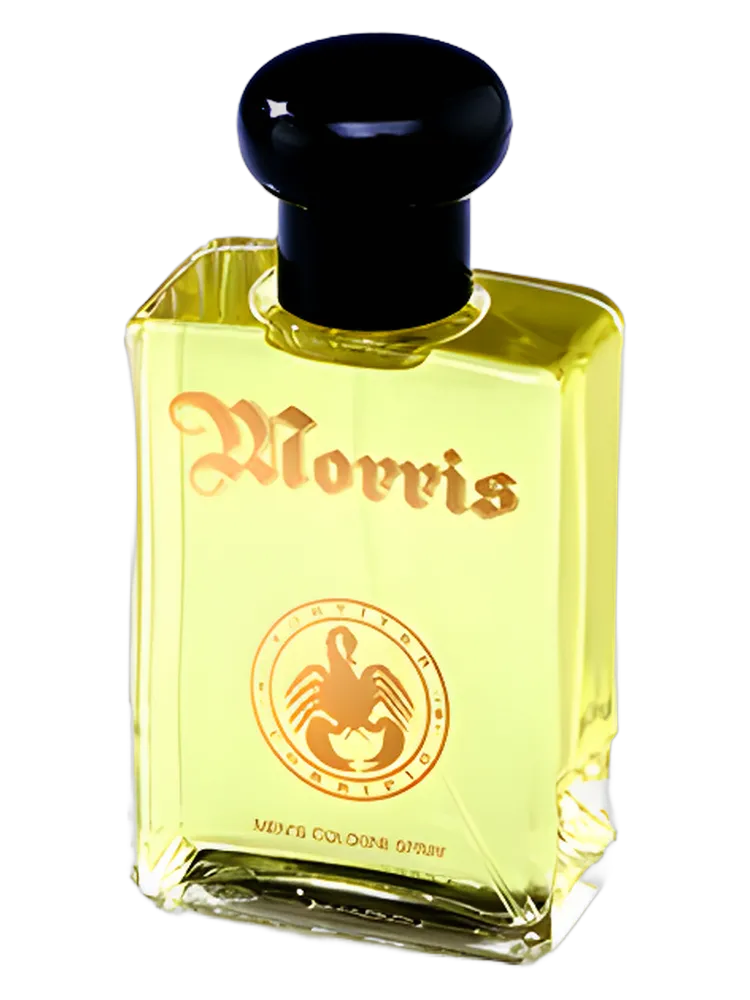 Morris by Morris