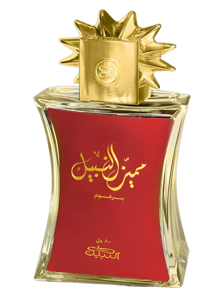 Mumaiyaz Al Nabeel by Nabeel
