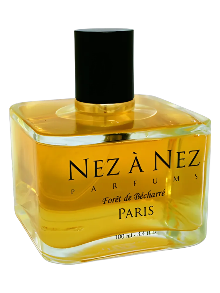 Foret de Becharre by Nez a Nez