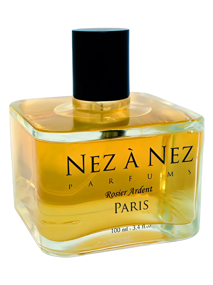 Rosier Ardent by Nez a Nez