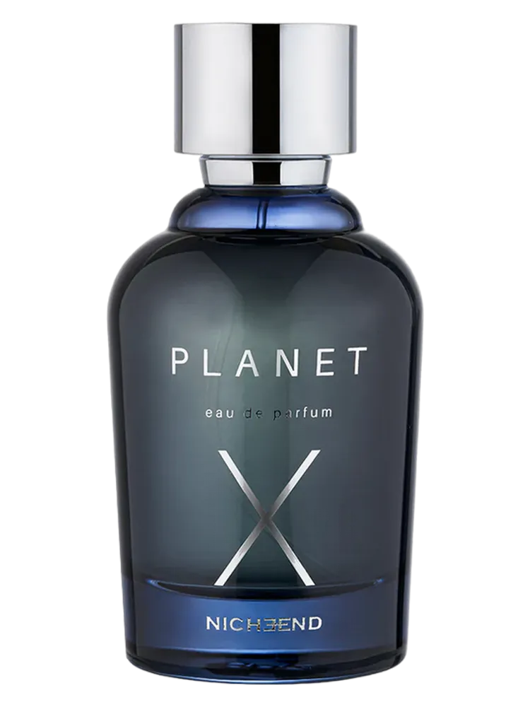 Planet X by Nicheend