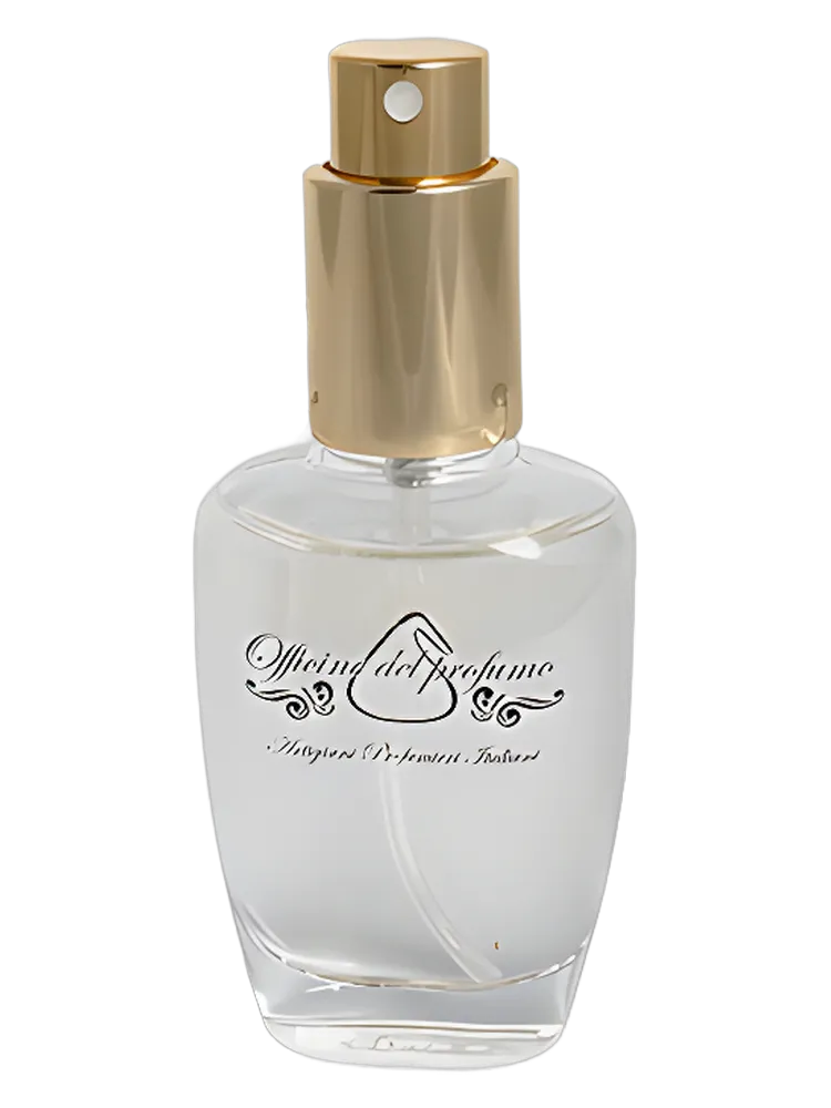 Musk by Officine Del Profumo