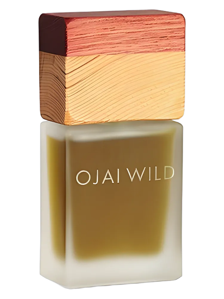 White Sage Leaves by Ojai Wild
