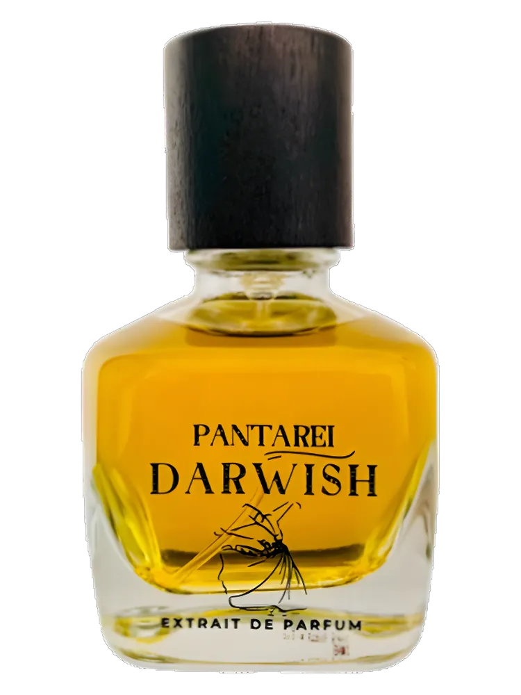 PantaRei Darwish by PantaRei