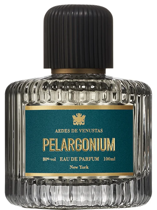 Pelargonium by Aedes De Venustas