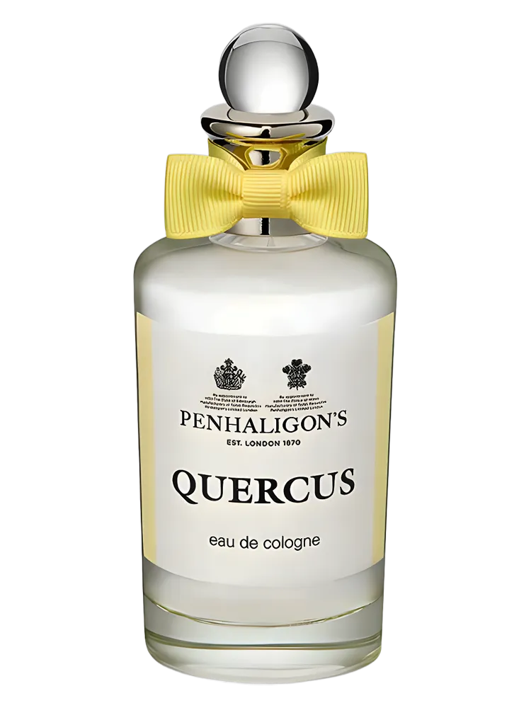 Quercus