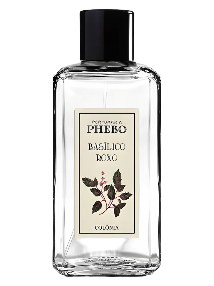 Basílico Roxo by Phebo