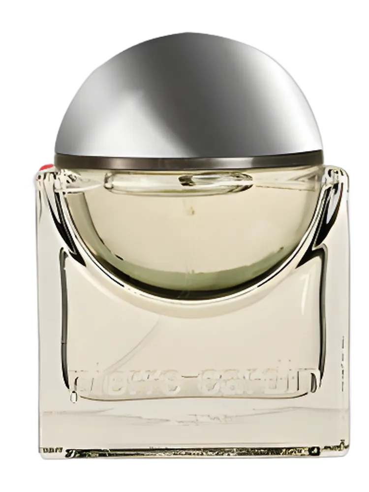 Innovation by Pierre Cardin
