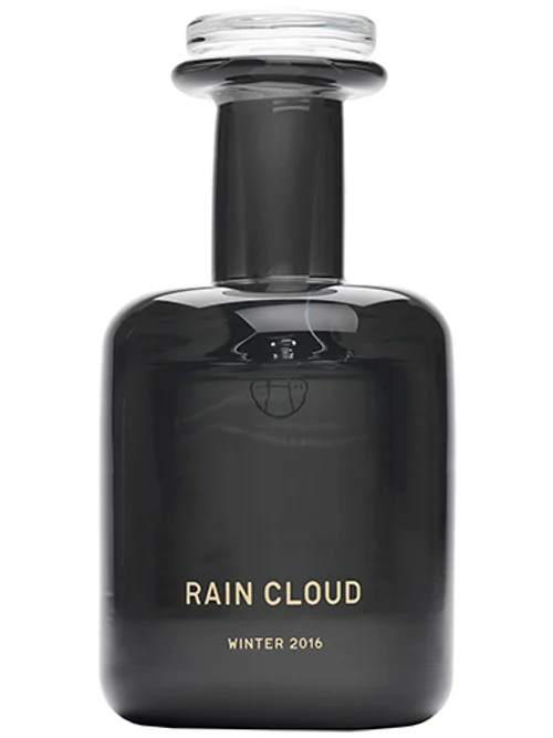 Rain Cloud by Perfumer H