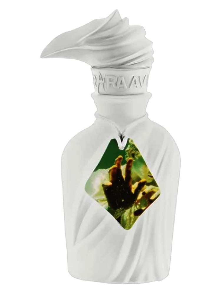 The Electus One by RARA AVIS