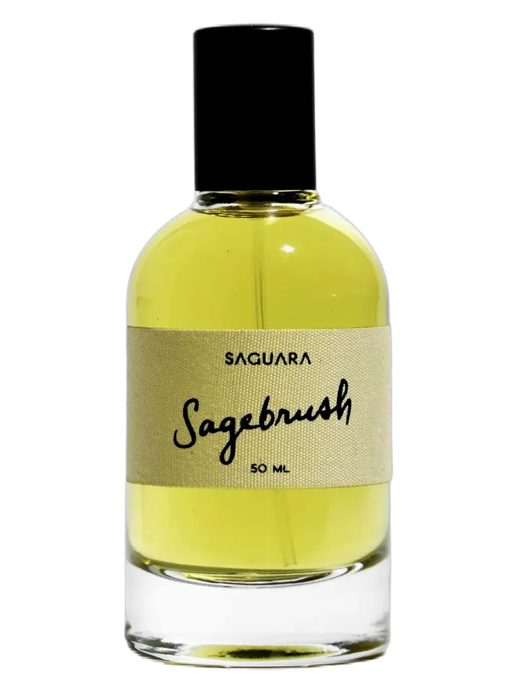 Sagebrush by Saguara