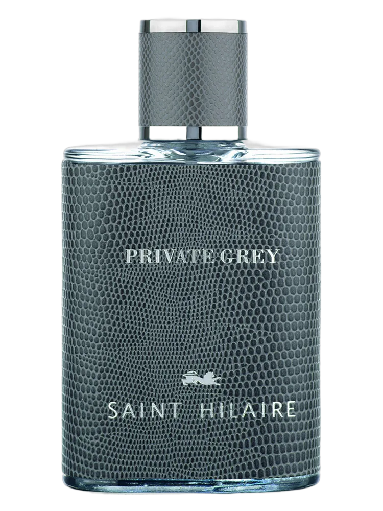 Private Gray by Saint Hilaire