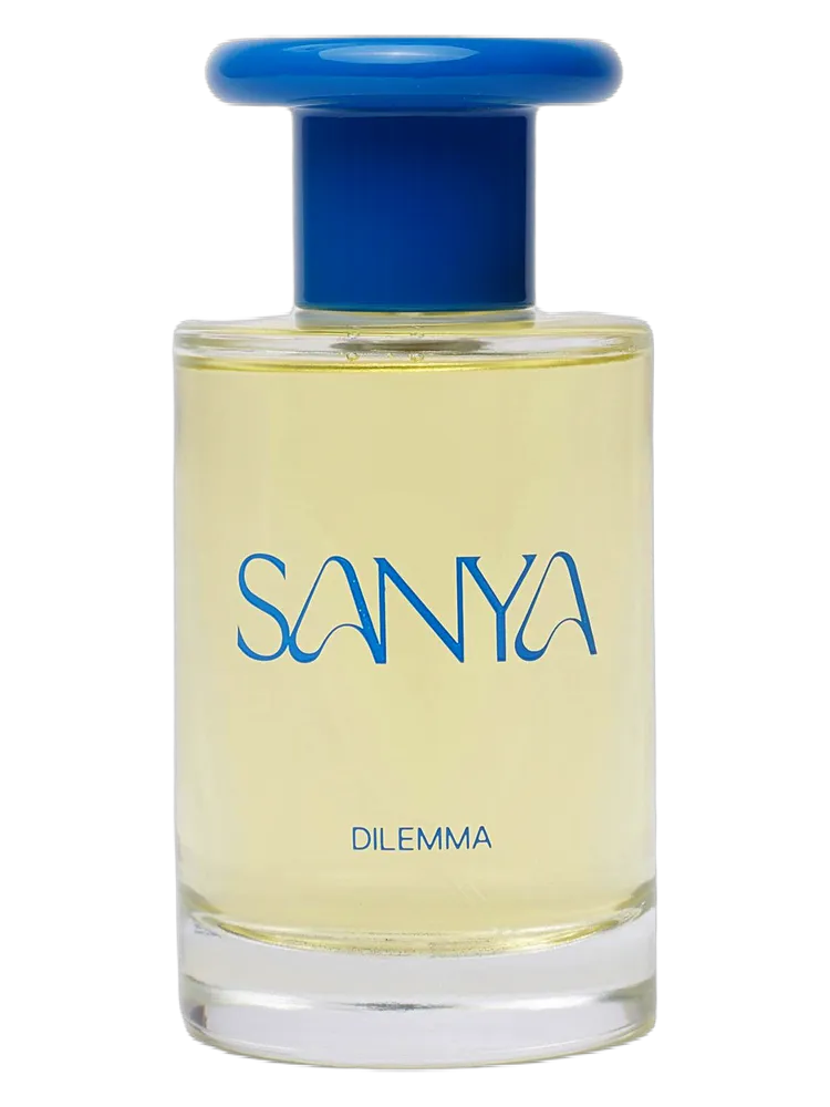 Dilemma by Sanya