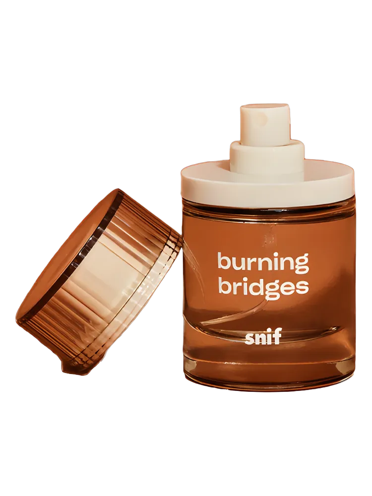 Burning Bridges by Snif