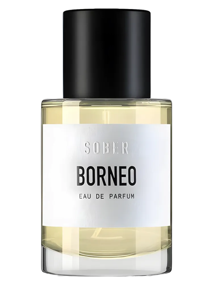 Borneo by Sober
