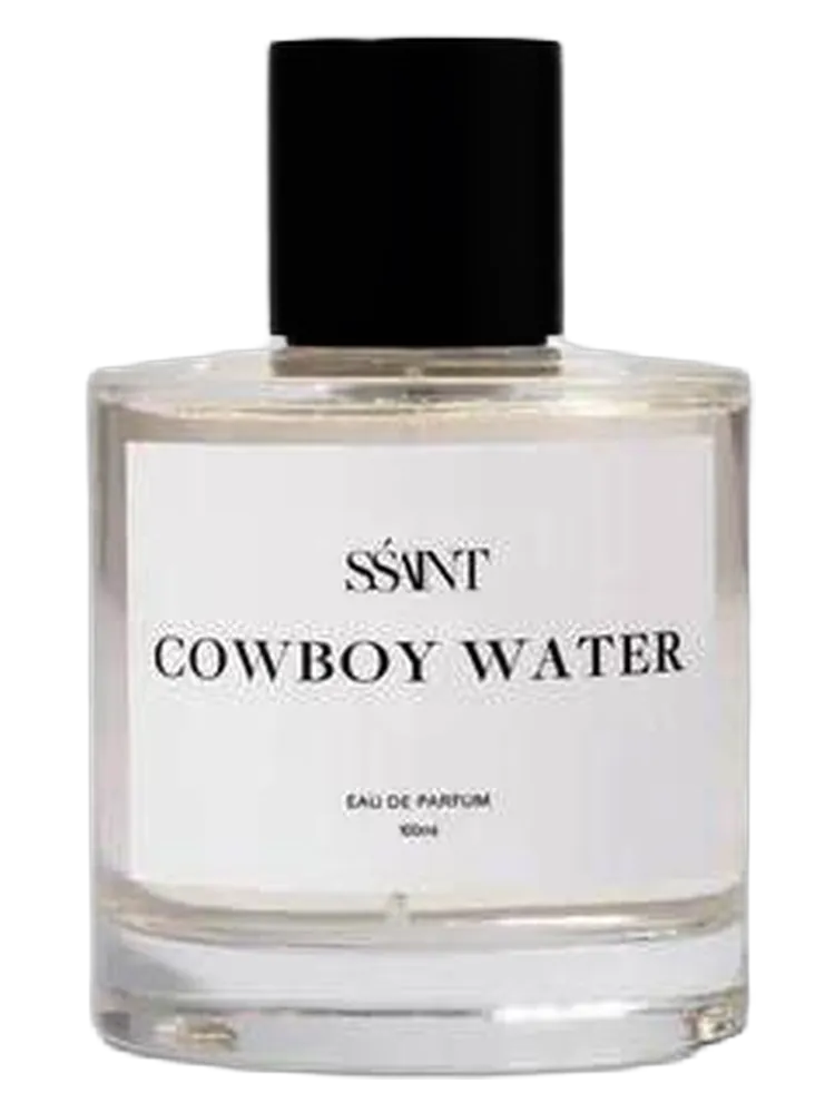 Cowboy Water by Sśaint