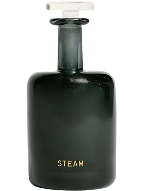 Steam by Perfumer H