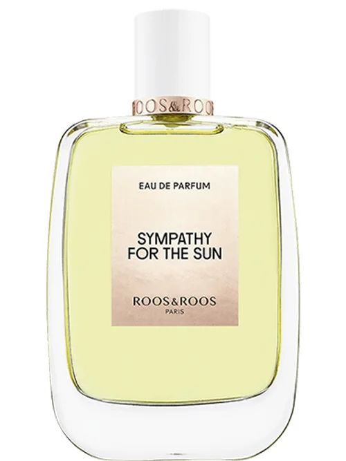 Sympathy For The Sun by Roos&Roos