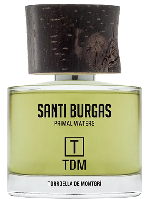 T Tdm by Santi Burgas