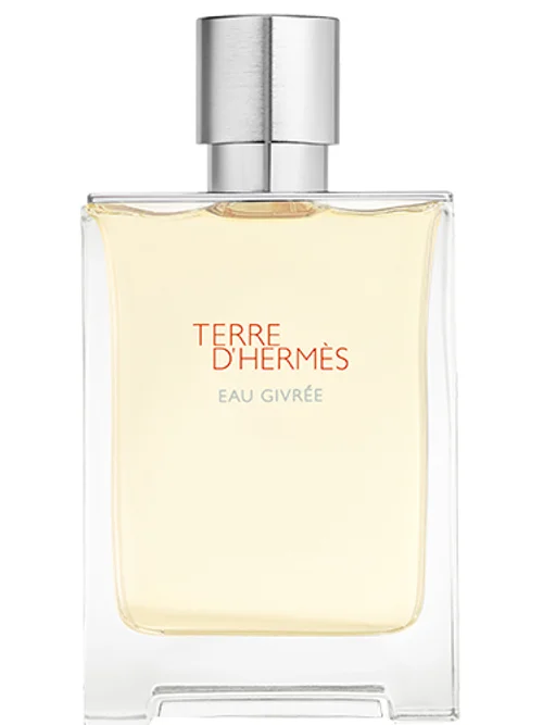 Terre D' Eau Givrée by Hermès