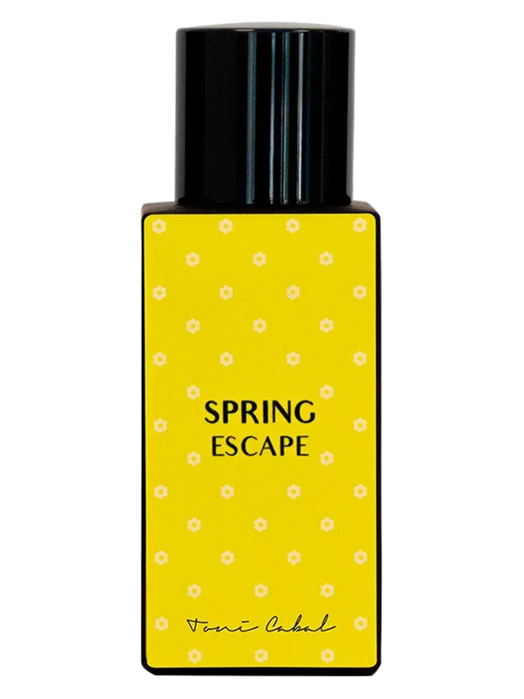 SPRING ESCAPE by Toni Cabal
