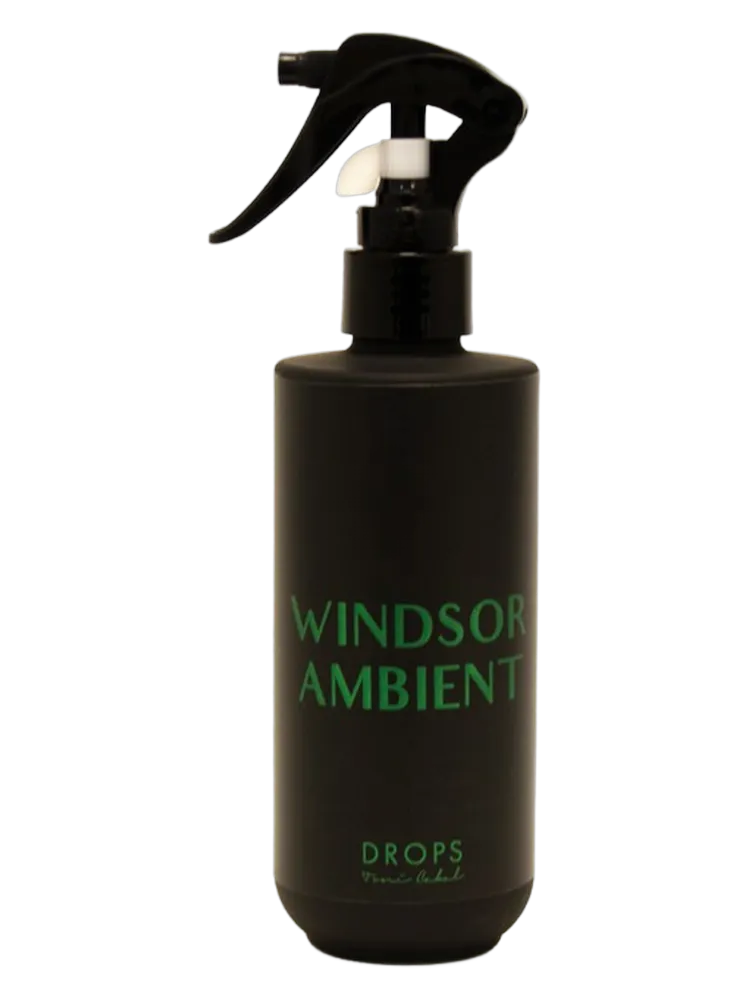 WINDSOR AMBIENT by Toni Cabal