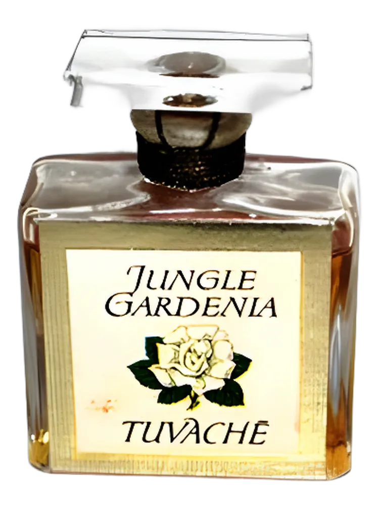 Jungle Gardenia by Tuvaché