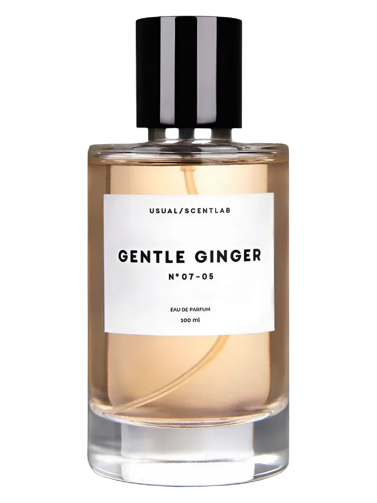 Gentle Ginger № 07-05 by Usual Parfums