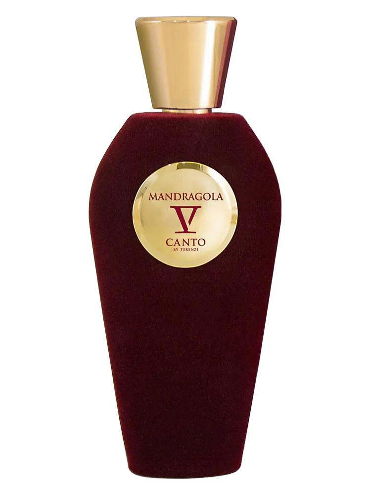 Mandragola by V Canto
