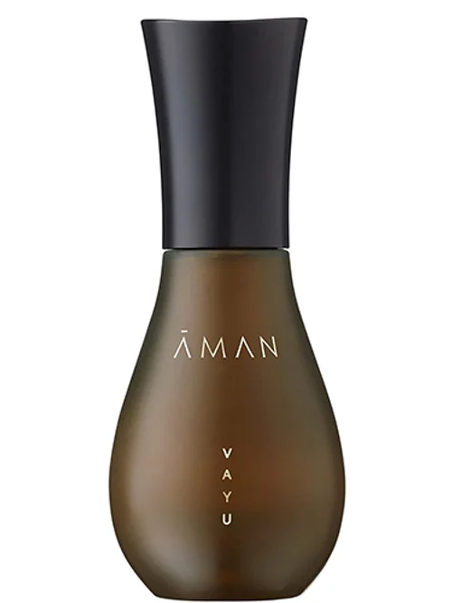 Vayu by Aman