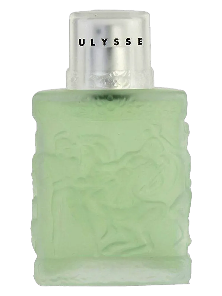 Ulysse by Vicky Tiel