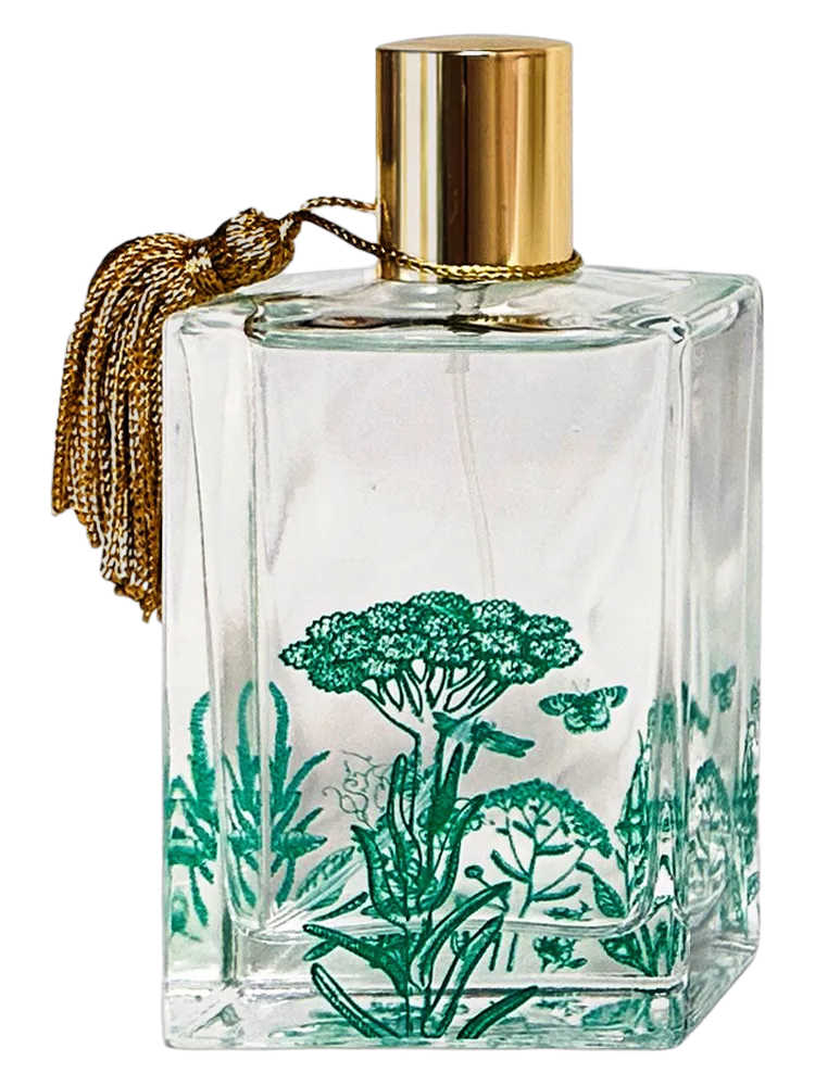 Basilico Brioso by Villa Buti