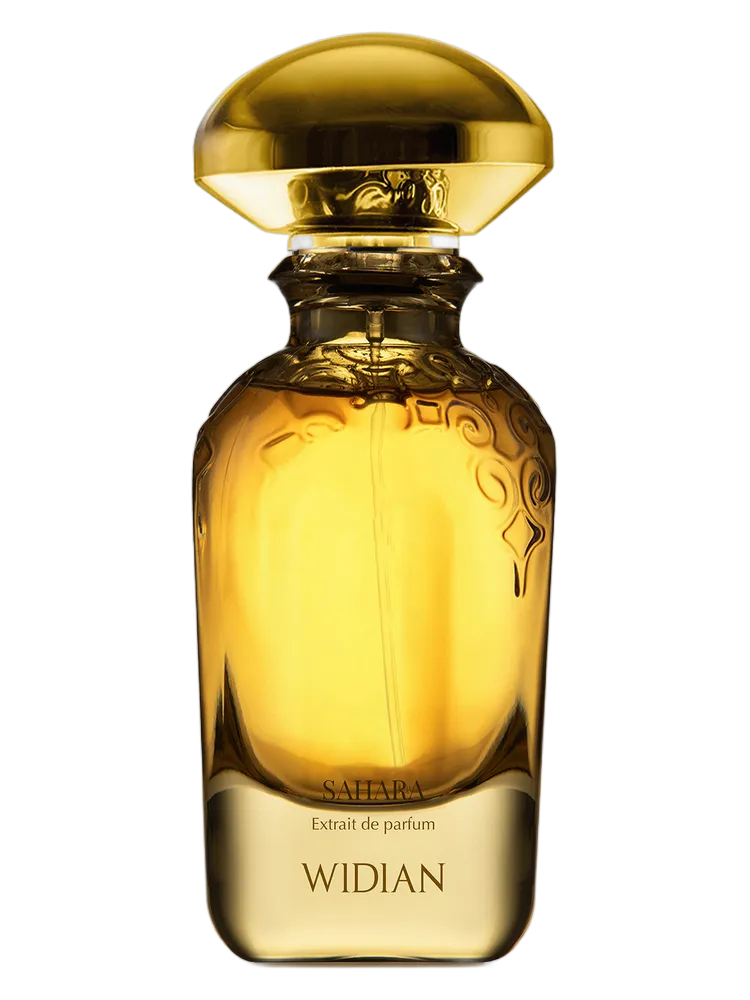 Sahara by Widian