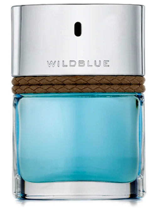 Wildblue For Men by Banana Republic