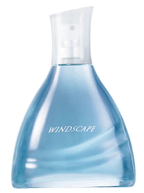 Windscape For Him by Avon